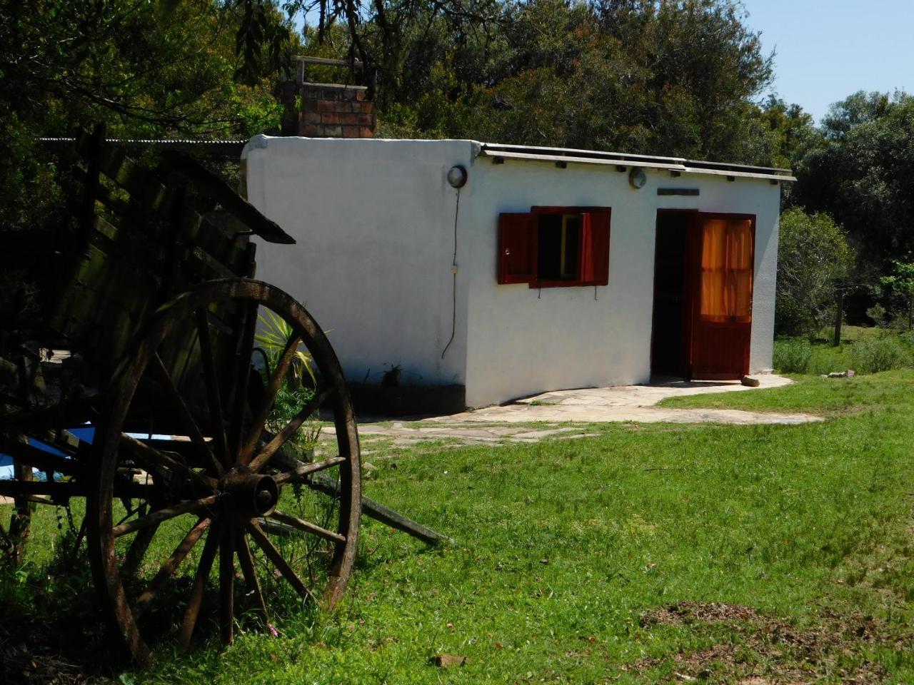 La Calaguala Punta del Este Exterior foto